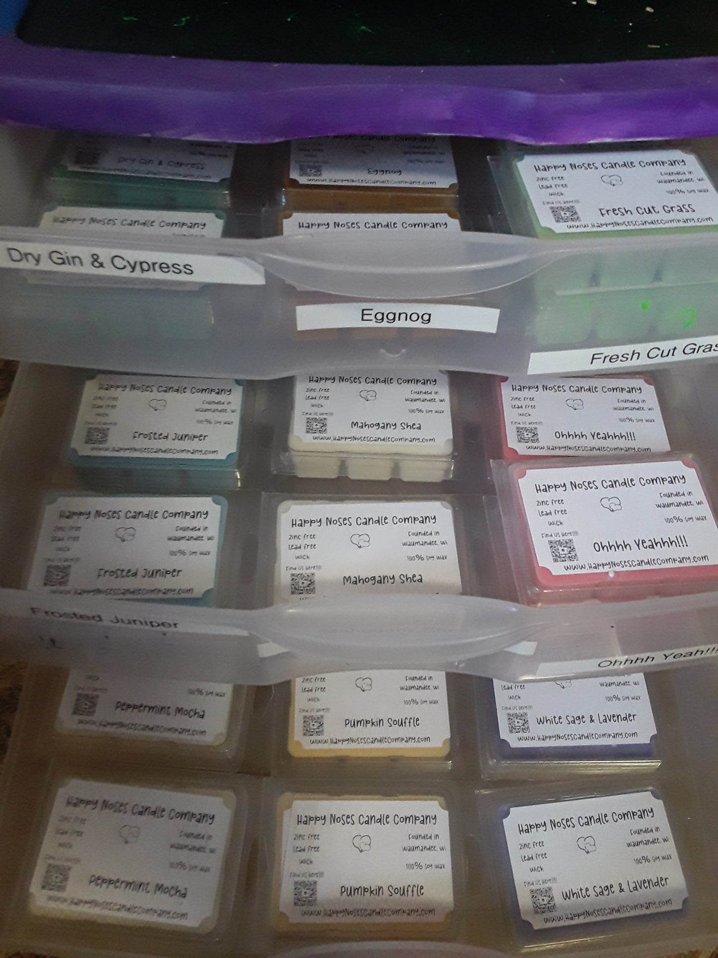 2.5oz Wax Melt (Soy Wax)